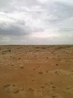 New Mex.webp New Mex.webp