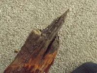 DSCF5149.webp