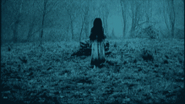tumblr_n4vjbmAzA11tzrtrwo1_500.gif