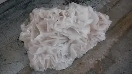 20140511_121131.webp
