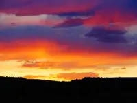 DSCN2230.webp