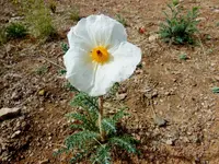 DSCN1712.webp