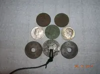DSCN6004.webp