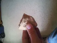 20140522_150841.webp