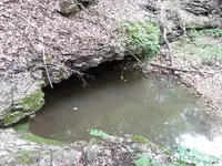 ForumRunner_20140527_075040.webp