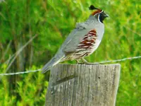 DSCN4634.webp