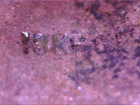 1304675460789.gif