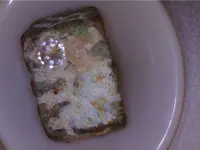 1304612069668.webp