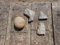 DSCN1184.webp