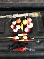 Lures.webp
