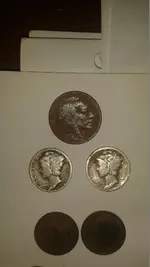 close up of merc and buffalo.webp