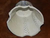 DSCN5257.webp