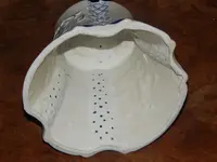DSCN5258.webp