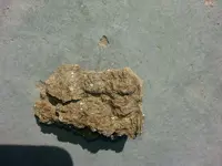 20140618_161803.webp