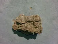 20140618_161809.webp
