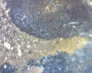 Image3.webp