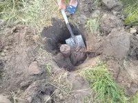 image-3004312637.webp