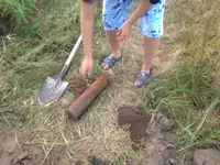image-513434379.webp