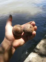 BallBeach2.webp