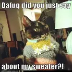 what about my sweater.webp