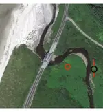 #2-cayuse_2.webp