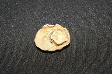DSCF1502.webp