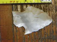 106_0389.webp