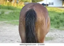 215988.webp