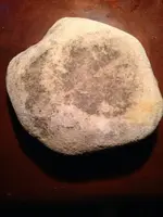 image-4065370438.webp