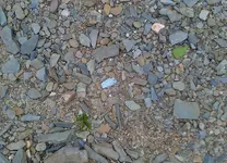 DSCF0006 (1024x754).webp