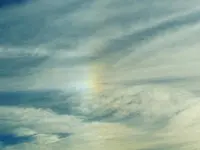 RSCN3479.webp
