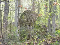 Treasure cave 061--Pinwheel.webp