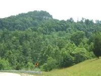 DSCF3536.webp