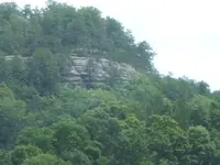 DSCF3539.webp