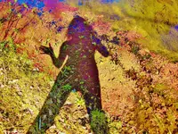 DSCN9960.webp