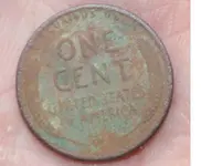 1909s rear.webp