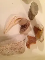 image-4247161520.webp