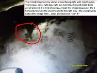 Cave Pictures 2.webp