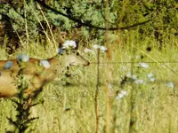 DSCN6169.webp