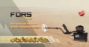 FORS GOLD.webp