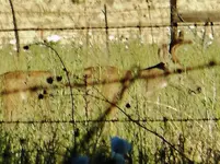 DSCN6177.webp