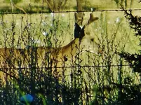 DSCN6176.webp