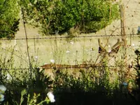 DSCN6172.webp