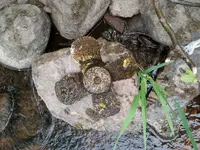 20140523_155140.webp 20140523_155140.webp