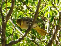DSCN6111.webp