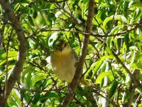DSCN6113.webp