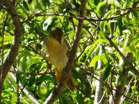 DSCN6115.webp