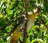 DSCN6116.webp