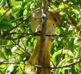 DSCN6117.webp