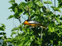 DSCN6121.webp